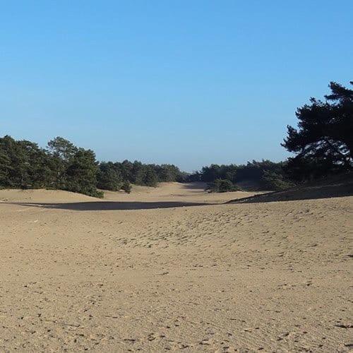 Vakantie Op De Veluwe Villa Lunteren Exterior foto
